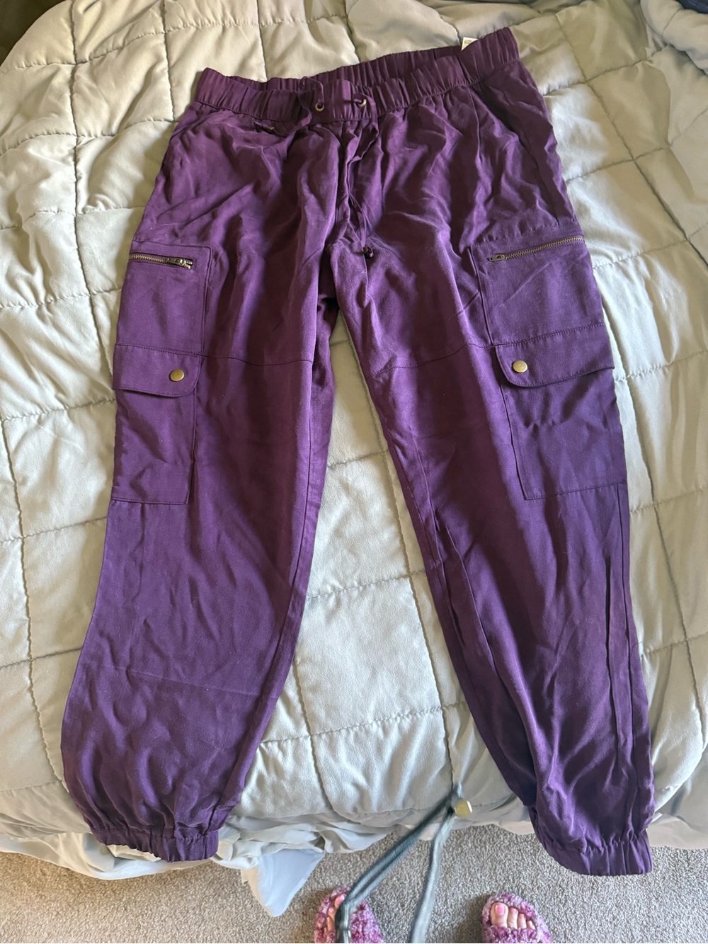 Banana Republic Plum Cargo Jogger Pants